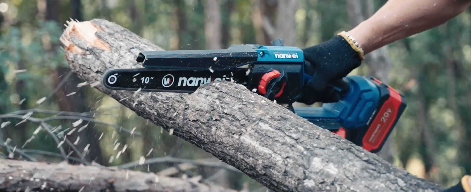 Cordless Chain Saw